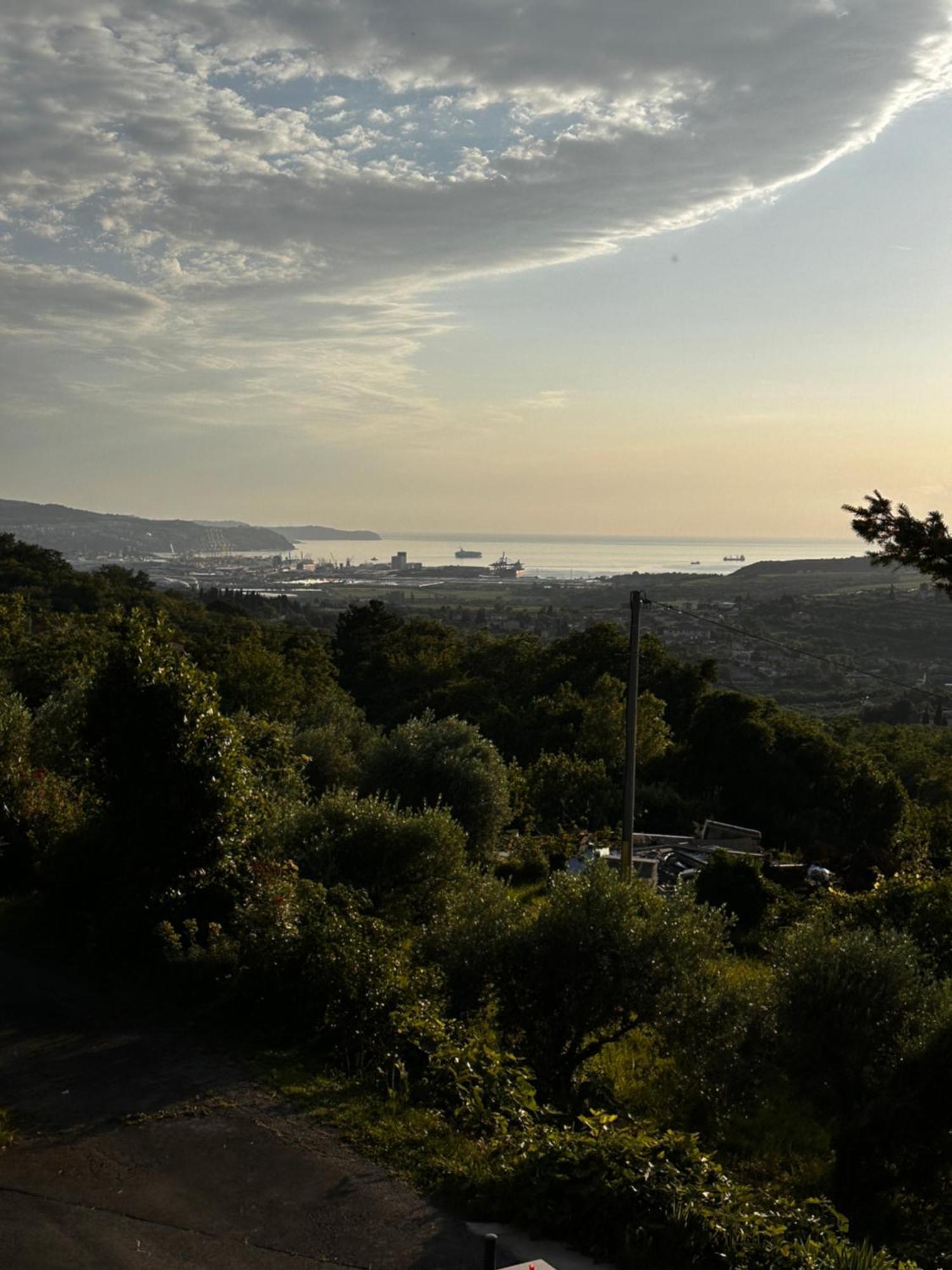 Premium Apartment Zgornje Skofije